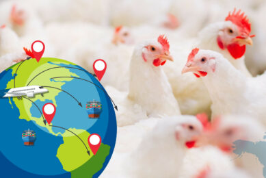 Chicken markets are expected to remain robust through 2025. Photo: Canva