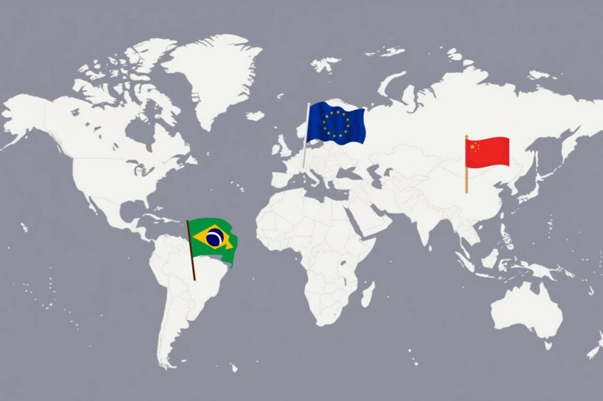 Before the ban, Brazil accounted for nearly half of China's chicken meat imports, estimated at 495,000 tonnes in 2024. Photo: Canva
