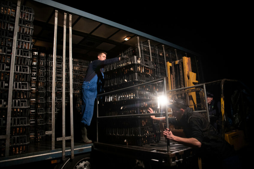The research follows a UK government consultation earlier this year on proposed changes to permitted methods. Photo: Mark Pasveer