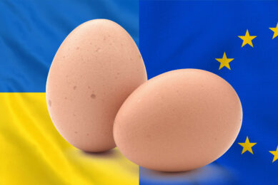 During the past several years, Ukrainian egg exports experienced a significant shift in sales geography, essentially switching from the Middle East and Asia to the European market. Photo: Canva
