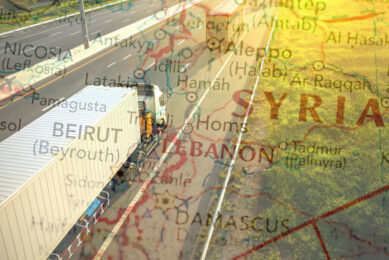 In 2023, Syria exported poultry valued at only US$1.1 million, with the entire quantity being shipped to Lebanon. Photo: Canva