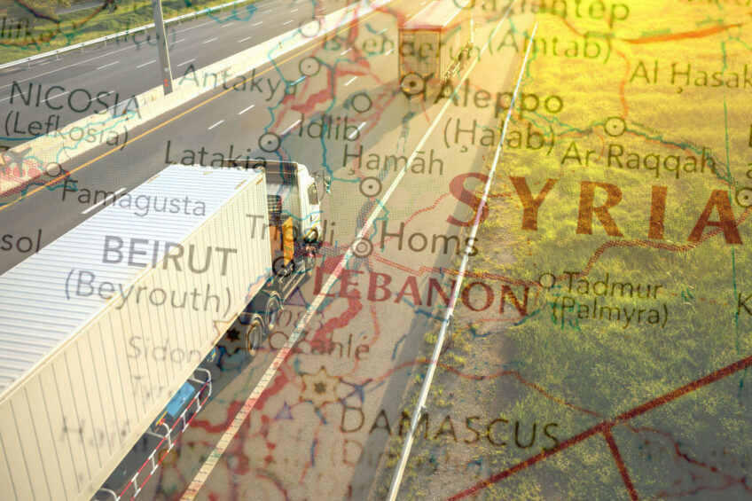 In 2023, Syria exported poultry valued at only US$1.1 million, with the entire quantity being shipped to Lebanon. Photo: Canva