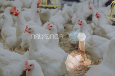 As one of the only insurers still offering avian influenza cover in the UK, members wishing to take out a policy with NFU Mutual should act fast as the window to apply will close on 1 September. Photo: Canva