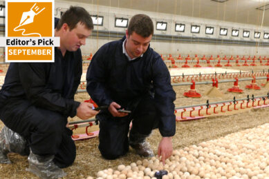 Embracing a combination of on-farm hatching and in-ovo vaccination