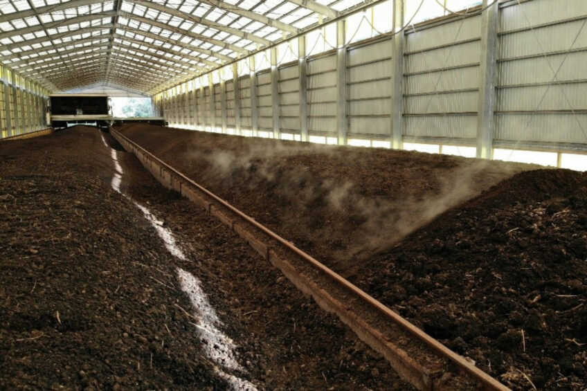 During aerobic composting, temperatures increase and reach between 55 and 70°C. This is a crucial phase during which pathogens, parasite eggs, and weed seeds are destroyed. Photos: Kohshin Engineering