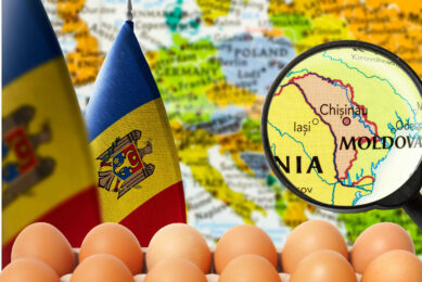Moldova has come close to self-sufficiency in egg production. During the first 6 months of the year, the country imported only 868,000 eggs, against 18.3 million in 2022. Photo: Canva