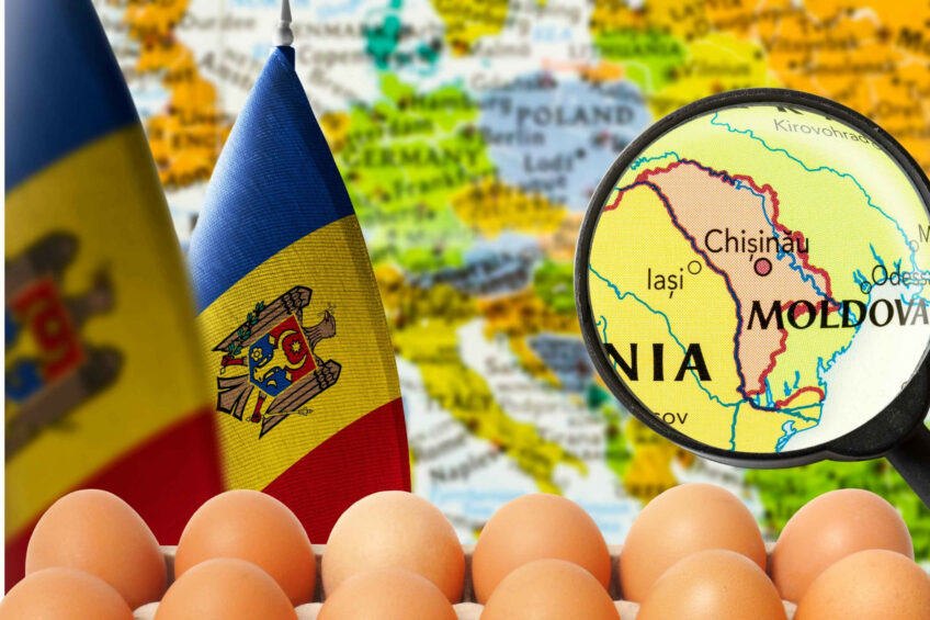 Moldova has come close to self-sufficiency in egg production. During the first 6 months of the year, the country imported only 868,000 eggs, against 18.3 million in 2022. Photo: Canva