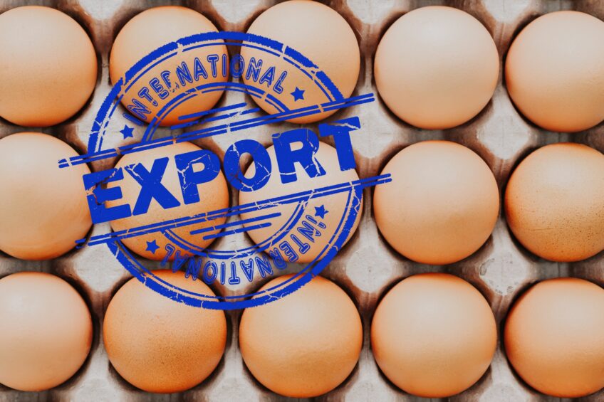 Russia expands egg exports in a bid to mitigate oversupply crisis
