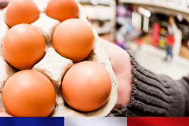 That high demand for eggs in France has reportedly forced some supermarkets in the country to import a larger number of eggs. Photo: Canva