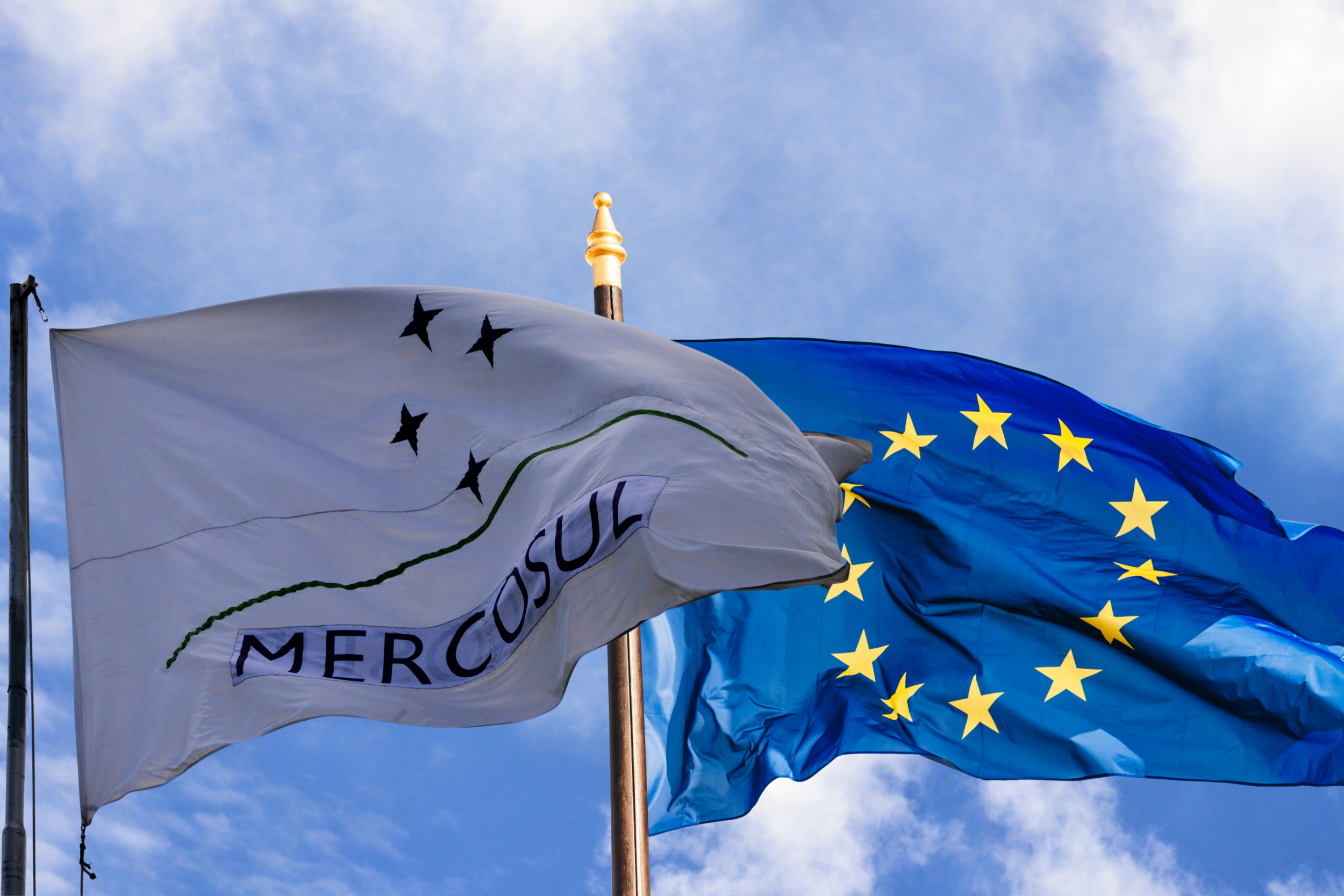 EU endorsement of Mercosur deal criticised