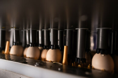 For large hatcheries processing millions of eggs per month, gaps in accuracy can mean a significant loss. Photos: Zoetis