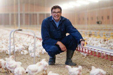 Demand for poultry is growing steadily, and the industry is seeking farmers interested in poultry farming. Photo: Topagrar