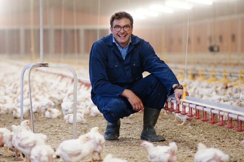 Demand for poultry is growing steadily, and the industry is seeking farmers interested in poultry farming. Photo: Topagrar