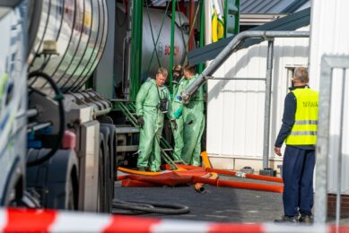 Avian influenza hits most countries in Europe, again