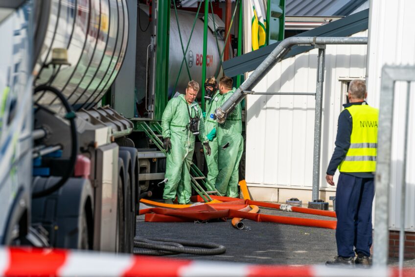 Avian influenza hits most countries in Europe, again