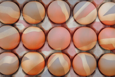 Overall, the prevalence of Salmonella in laying hens in Great Britain remains considerably lower than in 2004 and 2005 when the EU baseline survey was carried out. Photo: Canva