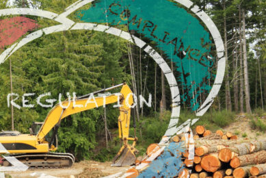 The European Union Deforestation Regulation aims to effectively ban deforestation-linked products on the EU market. Photo: Canva