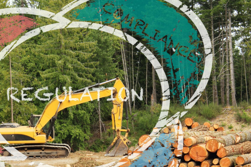 The European Union Deforestation Regulation aims to effectively ban deforestation-linked products on the EU market. Photo: Canva