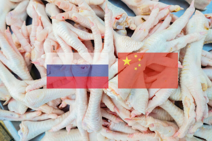Around 76% of Russian poultry exports to China are chicken feet, a product considered waste in Russia. Photo: Canva