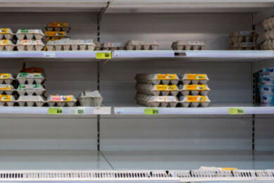  In Belgium, the supply off eggs is declining rapidly while the demand for eggs increases each year. Image created with the help of AI (Reve.art)