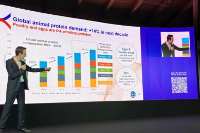 Broiler gender sorting as the next step in improving efficiency