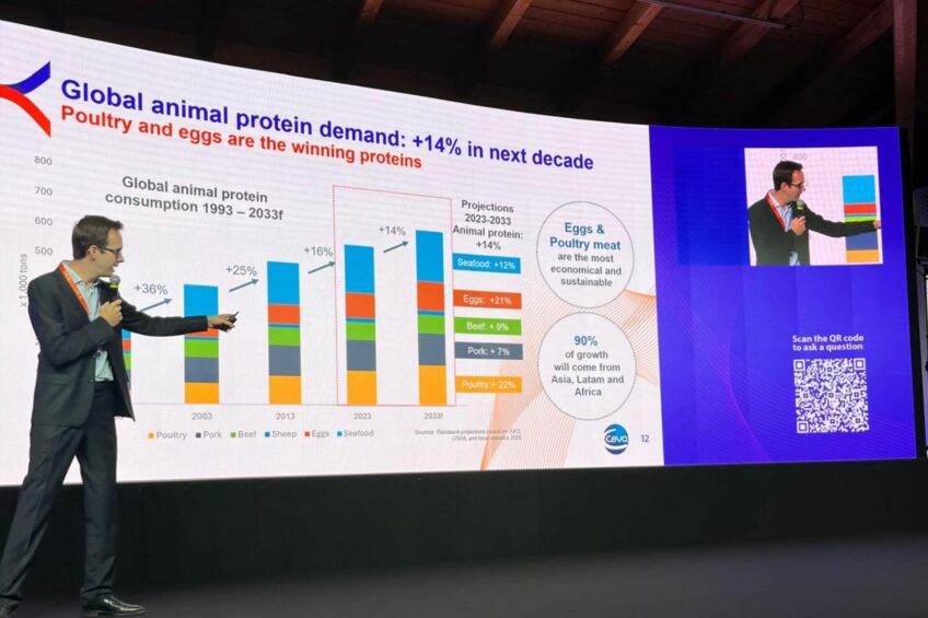 Broiler gender sorting as the next step in improving efficiency