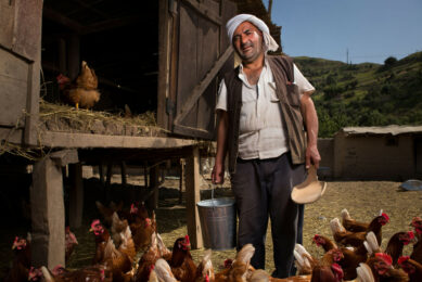 It is reported that the growing deficit has made the Iranian feed market more vulnerable and will drive up production costs for meat, chicken, and eggs in Iran. Photo: This image was created with the help of AI (Reve.art)