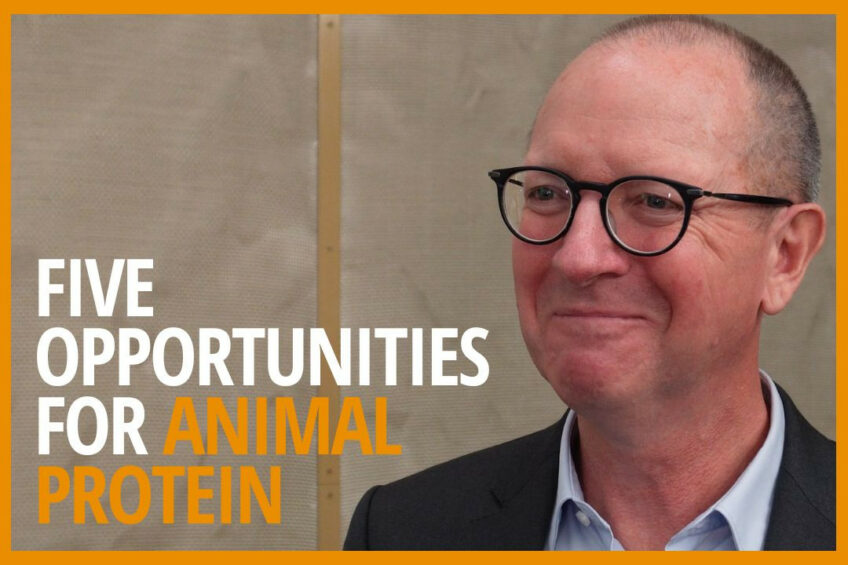 VIDEO: 5 future opportunities for the animal protein sector 