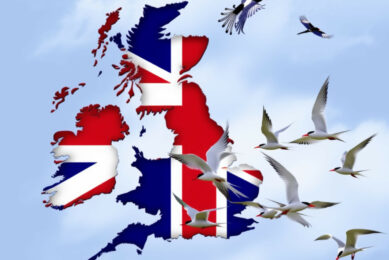 Are UK poultry farmers facing the highest risk winter yet for avian influenza?