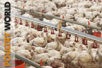 Top results at a broiler farm in Poultry World 9