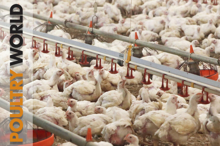 Top results at a broiler farm in Poultry World 9
