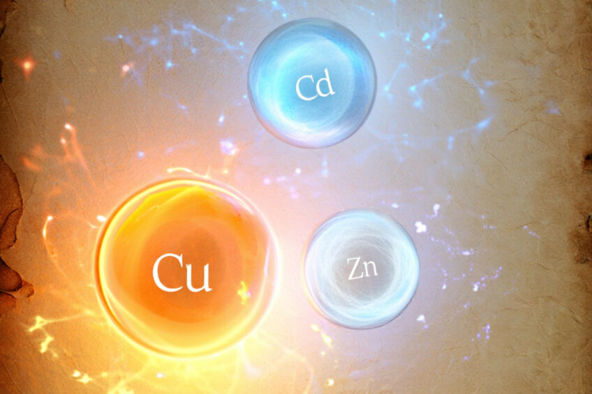 A research team carried out a study aimed to eliminate cadmium, copper and zinc from manure. This image was created with the help of AI (Reve.art)