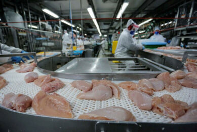 In 2024, China imported 353,400 tonnes of Brazilian chicken meat. Photo: Estado do Parana