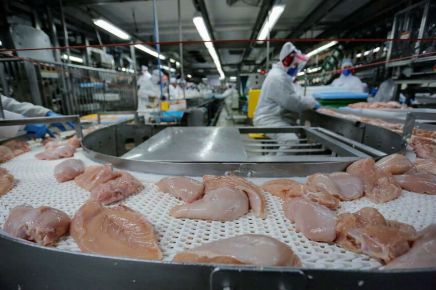 In 2024, China imported 353,400 tonnes of Brazilian chicken meat. Photo: Estado do Parana