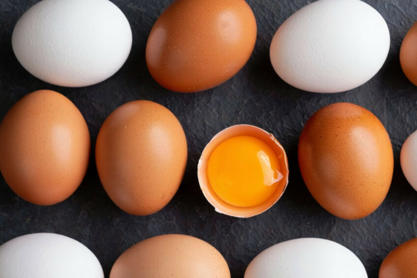 The machine learning-based system analyses yolk dimensions through image processing, offering a rapid, non-invasive alternative to traditional methods like water displacement. Created with the help of AI (Reve.art)