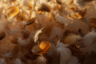 Scientists from Iran have developed a technology that would add value to feathers that would otherwise be waste. This image was created with the help of AI (Reve.art)
