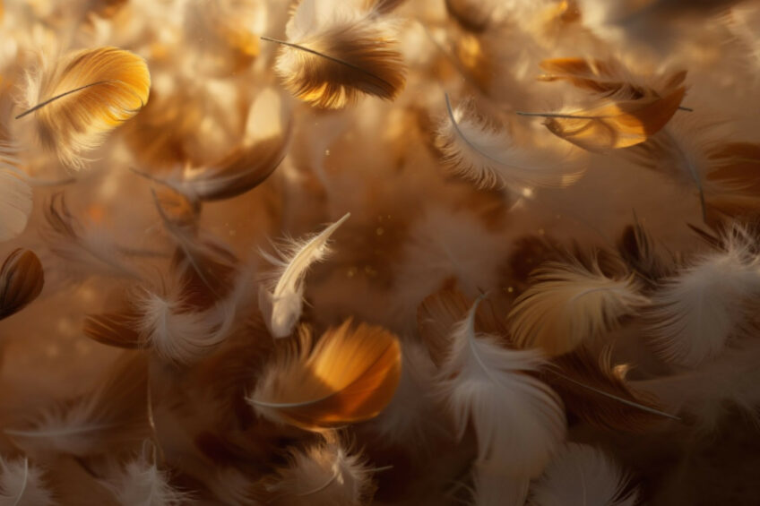 Scientists from Iran have developed a technology that would add value to feathers that would otherwise be waste. This image was created with the help of AI (Reve.art)