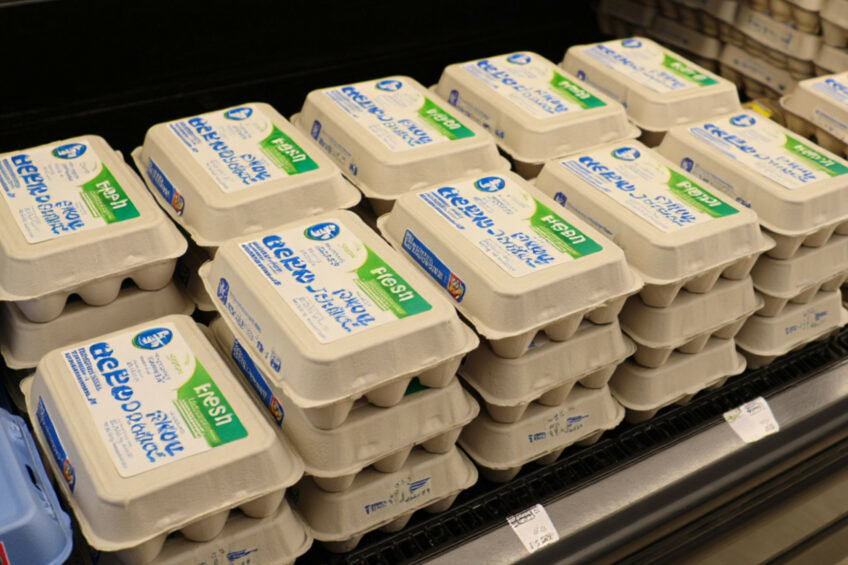 According to Zurab Uchumbegashvili, head of the Poultry Development Association, the only possible reason the Georgian egg market could plunge into a shortage is if citizens massively succumb to panic buying. Image created with the help of AI (Reve.art)