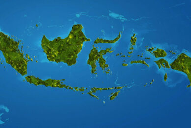 A team has collected blood and feather samples from over 600 chickens from smallholding farms in 19 different island locations around Indonesia. Created with the help of AI (Reve.art)