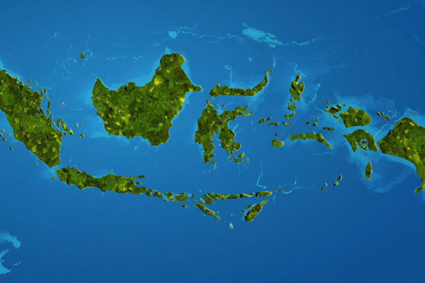 A team has collected blood and feather samples from over 600 chickens from smallholding farms in 19 different island locations around Indonesia. Created with the help of AI (Reve.art)