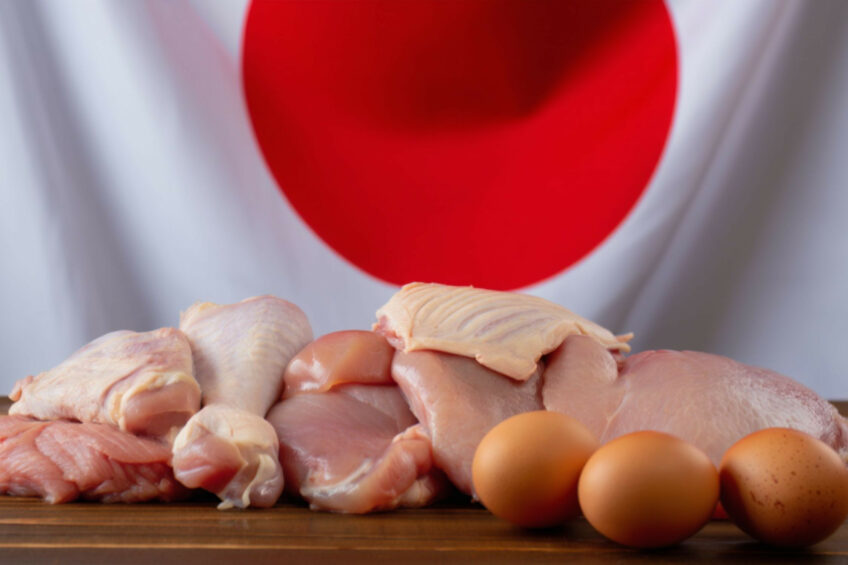Poultry still has the highest self-sufficiency among all proteins, but it is projected to decline due to succession issues in farming in Japan. Image created with the help of AI (Reve.art)