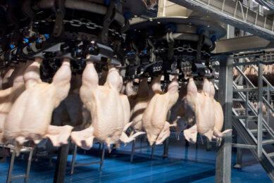 Declining profitability is becoming an increasingly pressing issue for Russian poultry farmers, Yushin said. Photo: Koos Groenewold
