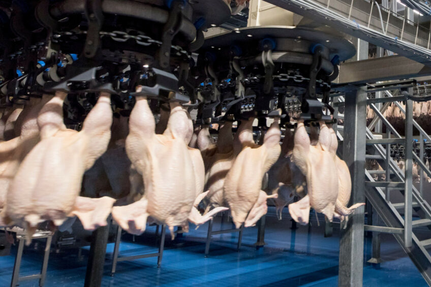 Declining profitability is becoming an increasingly pressing issue for Russian poultry farmers, Yushin said. Photo: Koos Groenewold