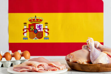 Spain's Ministry of Agriculture, Fisheries and Food noted that the poultry sector could solidify a key role in the Spanish livestock industry through its economic impact, production capacity, and food supply importance. Image created with the help of AI (Reve.art)