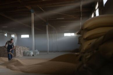 Power outages put additional strain on the already-troubled livestock and feed businesses in Ukraine, struggling to make ends meet amid a tough financial situation. Photo generated by AI: Reve