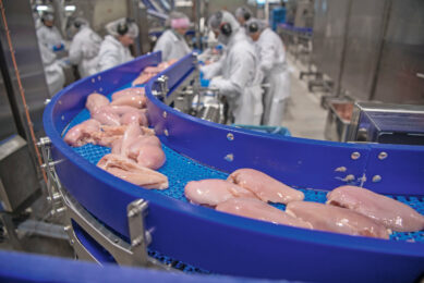 The global poultry meat trade rose by 1% year-on-year in Q2, reaching 7.1 million metric tonnes, which Rabobank described as a notable achievement given the highly disruptive market conditions. Photo: Mark Pasveer