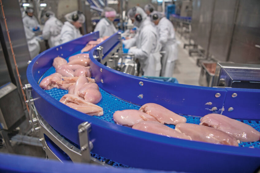 The global poultry meat trade rose by 1% year-on-year in Q2, reaching 7.1 million metric tonnes, which Rabobank described as a notable achievement given the highly disruptive market conditions. Photo: Mark Pasveer