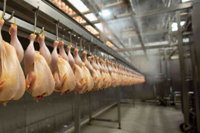 With the quotas foreseen in Mercosur agreement (180,000 mt), total imports would represent 9% of total EU poultry consumption. Image created with the help of AI (Reve.art)