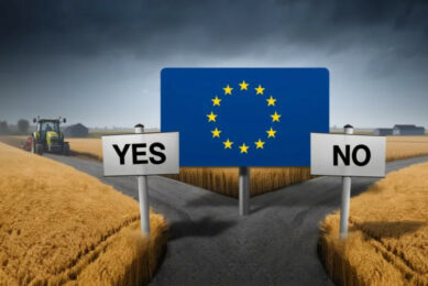 The approval by the majority of member states doesn’t mean the entire ratification process is now done and dusted. There is one final step waiting: a vote in the European Parliament. Image created with the help of AI (Reve.art)