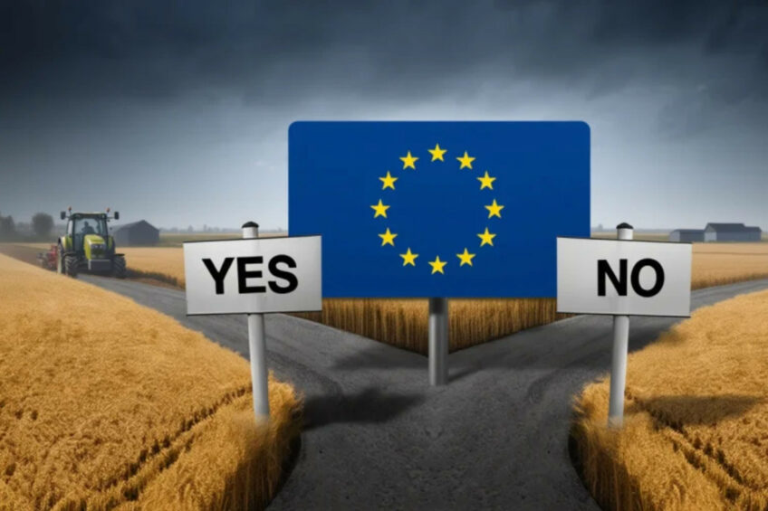 The approval by the majority of member states doesn’t mean the entire ratification process is now done and dusted. There is one final step waiting: a vote in the European Parliament. Image created with the help of AI (Reve.art)